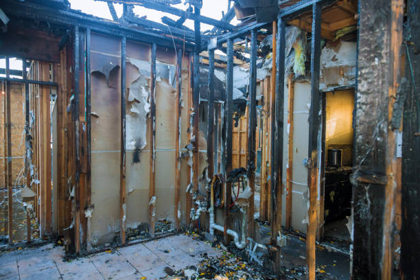 Professional Fire Damage Removal technician working in Texas City, TX